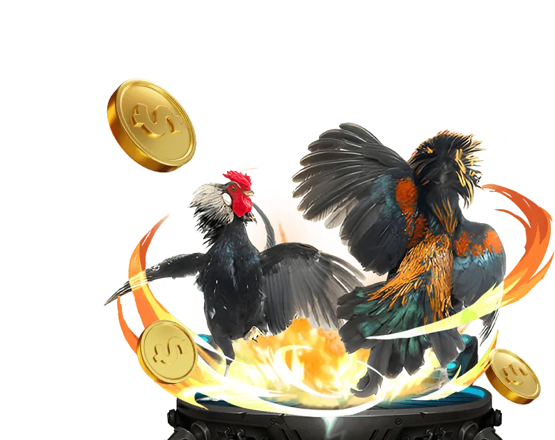 Đá Gà Trực Tuyến FB88